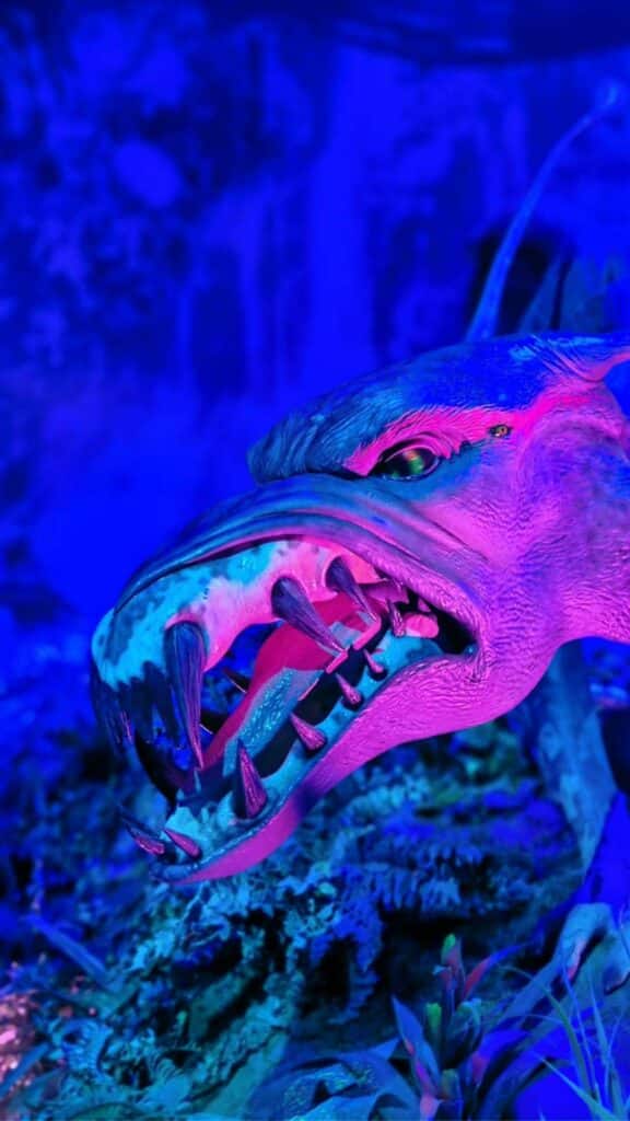 Avatar: The Experience en Madrid, la experiencia inmersiva que te lleva a Pandora 26 10